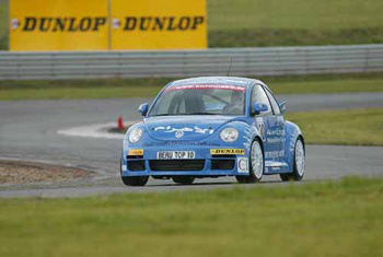 Beetle_Cup_2