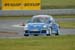 Beetle_Cup_2